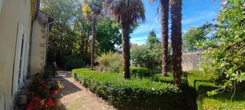 photo no. 14