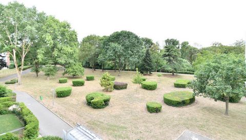 photo no. 5