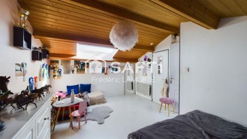 photo no. 11