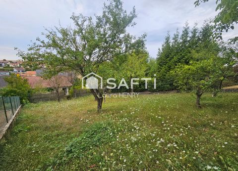 photo no. 13