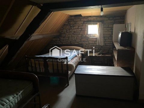 photo no. 11