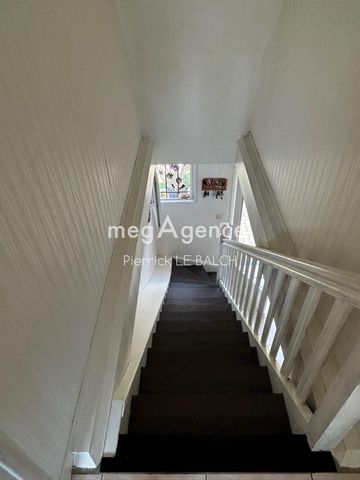 photo no. 11