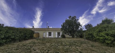 photo no. 12
