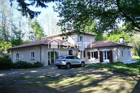 photo no. 16