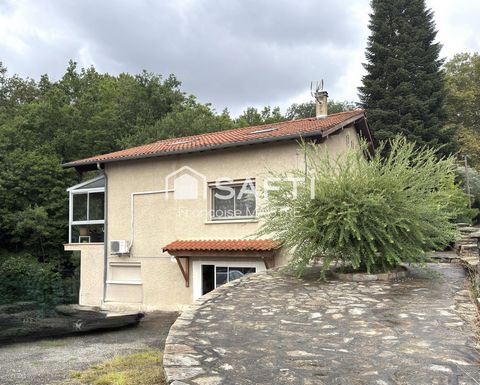 photo no. 11
