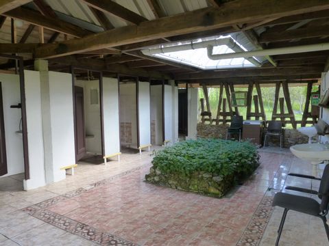 photo no. 11