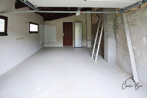 photo no. 3