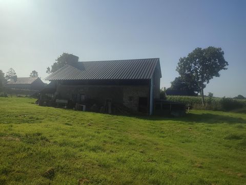 photo no. 1