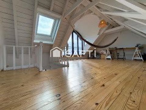photo no. 13