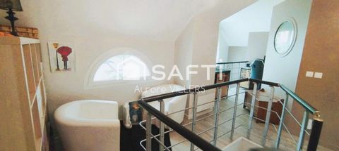 photo no. 11