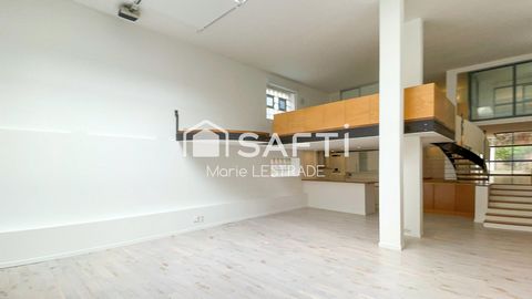 photo no. 5