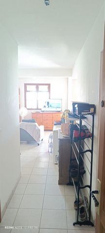 photo no. 3