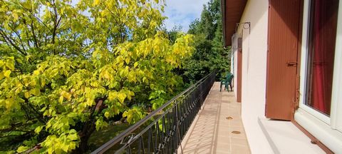 photo no. 16