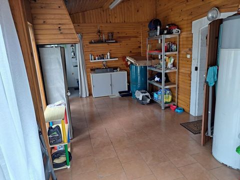 photo no. 6