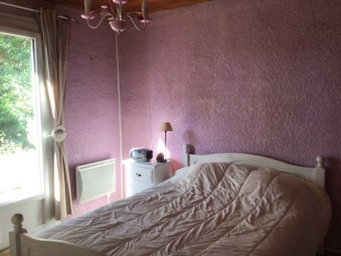 photo no. 8