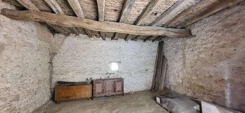 photo no. 3