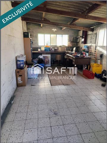 photo no. 12