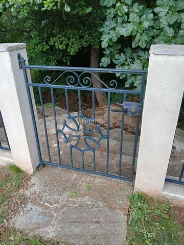 photo no. 8