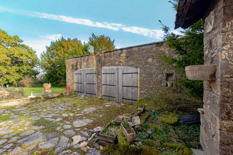 photo no. 11