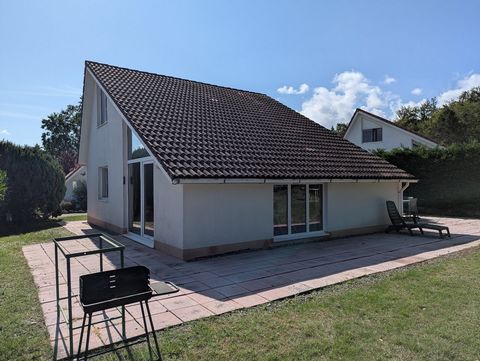 photo no. 2