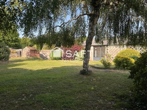 photo no. 15