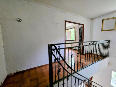 photo no. 11