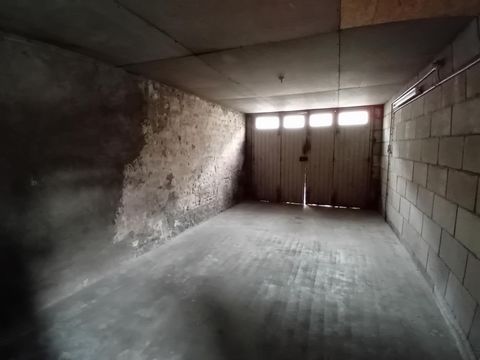 photo no. 6