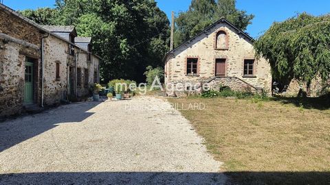 photo no. 13