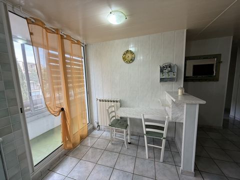 photo no. 6