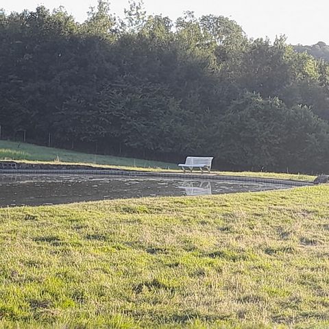 photo no. 3