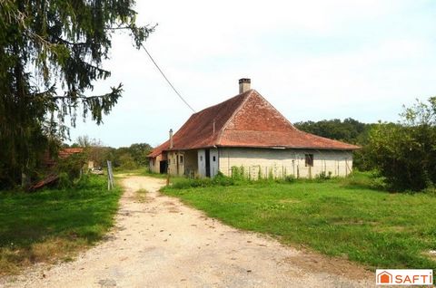 photo no. 11