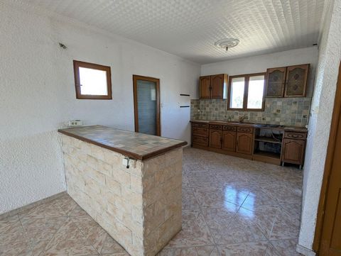 photo no. 10