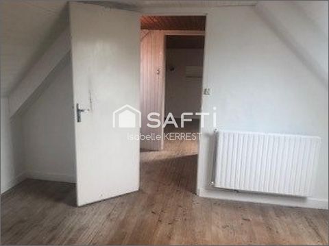 photo no. 12