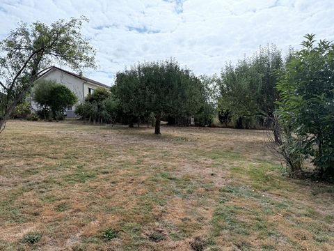 photo no. 4