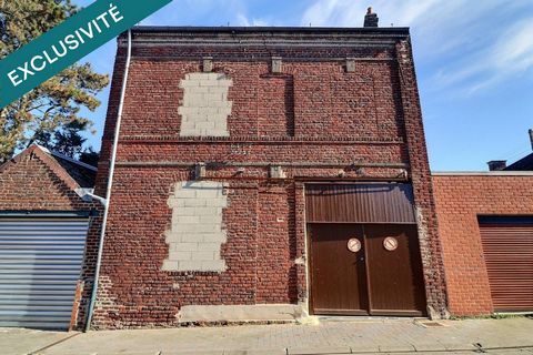 photo no. 12