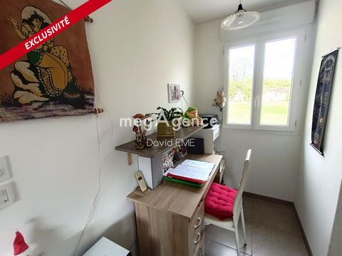 photo no. 10
