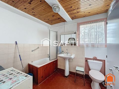 photo no. 11