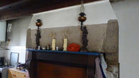 photo no. 12