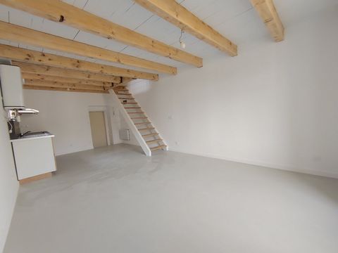 photo no. 6
