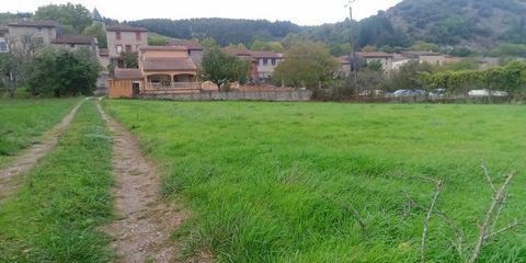 photo no. 2