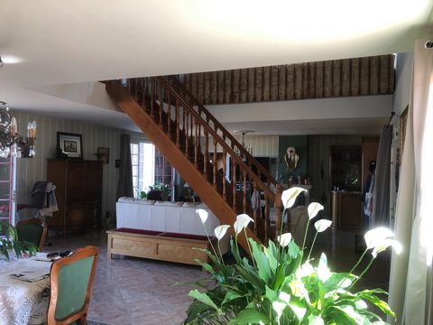 photo no. 2