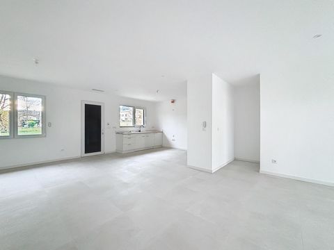 photo no. 14