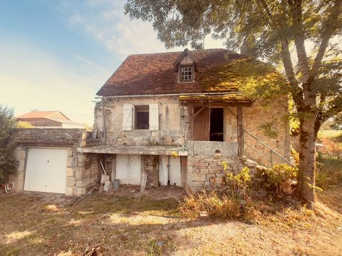 photo no. 2