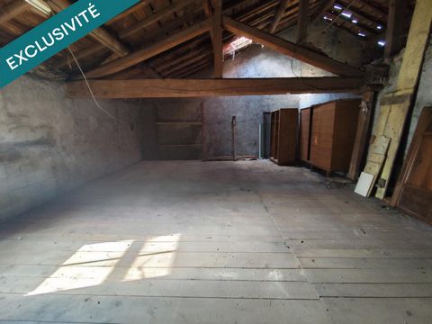 photo no. 9