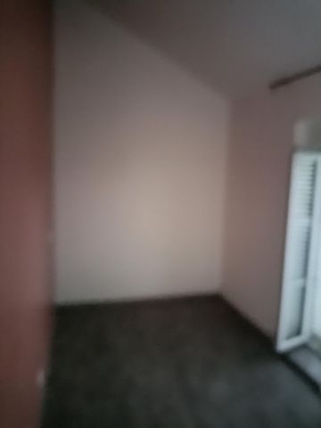 photo no. 19