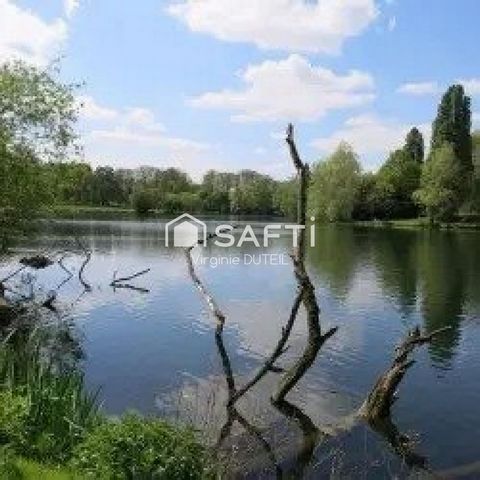 photo no. 9