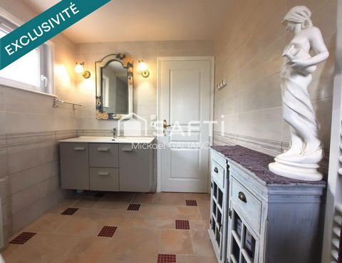 photo no. 10