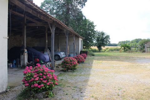 photo no. 23
