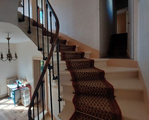 photo no. 11