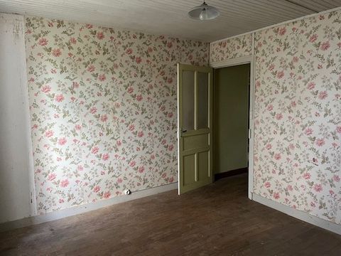 photo no. 12